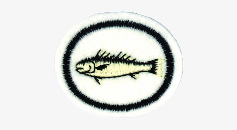 Fishes Honor - Fish, transparent png download