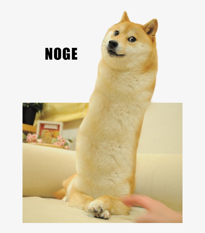 521 Kb, 640x850, Image [view Same] [iqdb] [saucenao] - Doge Photoshopped, transparent png download