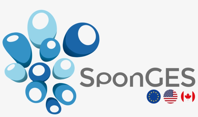 Sponges Has Received Funding From The European Union's, transparent png download