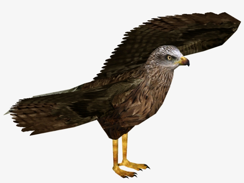 Black Kite 3 - European Starling, transparent png download