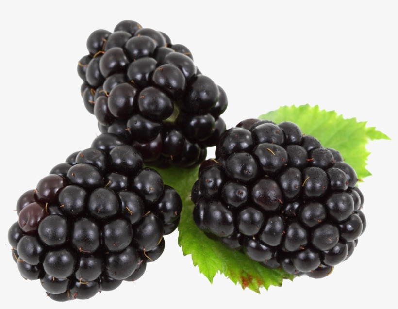 Blackberry Png, transparent png download