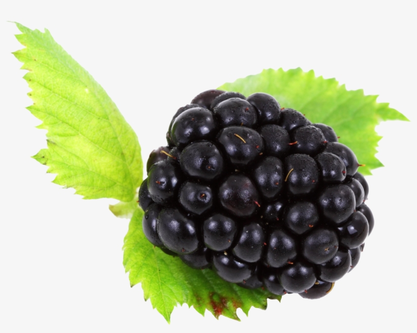 Blackberry Png, transparent png download