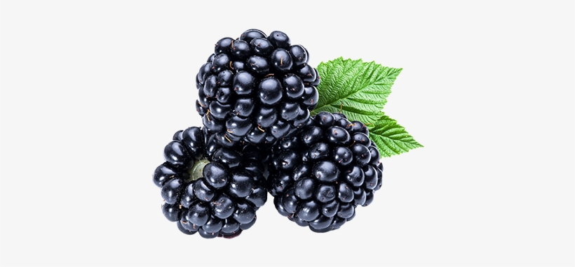 Blackberry, transparent png download
