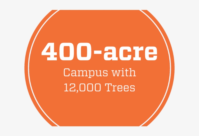 Clipart Volleyball Paint Splatter - Gracie Barra Jiu Jitsu, transparent png download