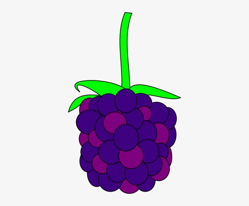 Blackberry Clip Art Png, transparent png download