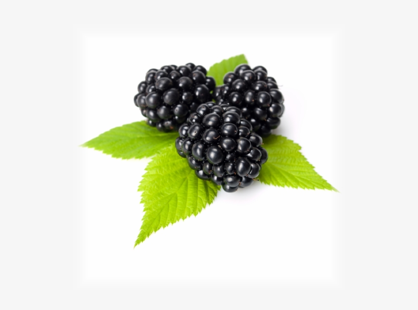 Blackberry - One Berry, transparent png download