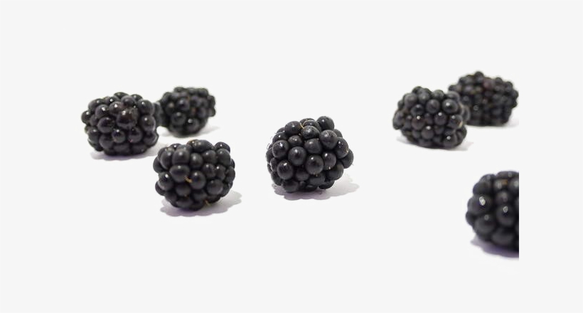Blackberry Fruit Download Transparent Png Image - Blackberry Fruit, transparent png download