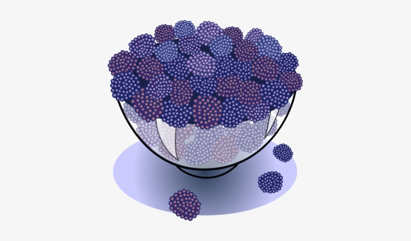 Image - Blackberries - Bowl Of Berries Clipart, transparent png download