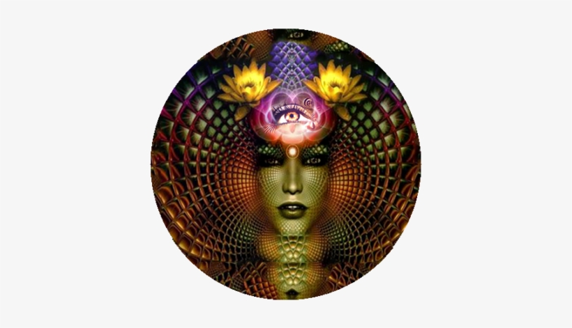 Career And Money - Glandula Pineal Meditação, transparent png download