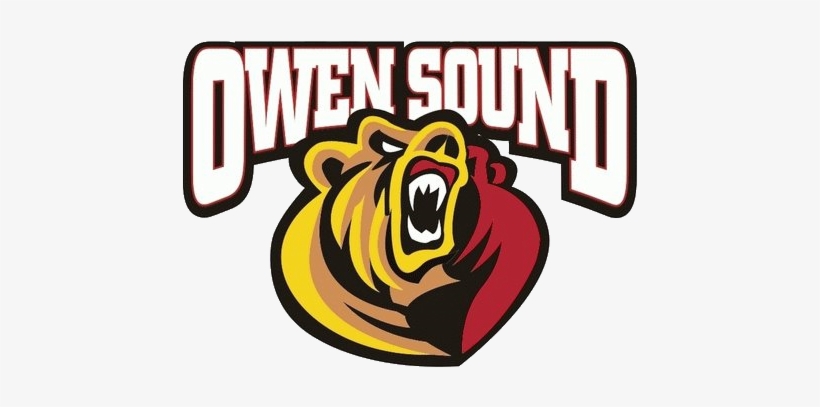 Owen Sound Attack - Owen Sound Attack Logo Png, transparent png download