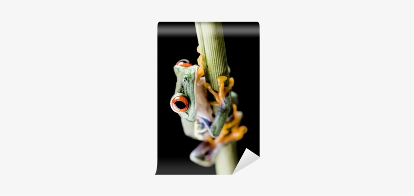 Vase, transparent png download