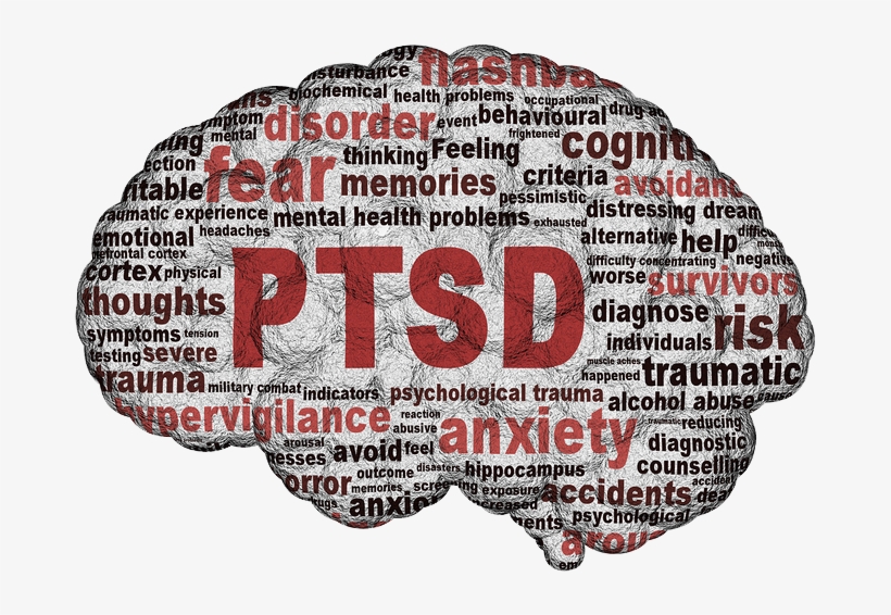 Ptsd, Vietnam Veteran News, Mack Payne - Posttraumatische Belastungsstorungen Bei Polizisten, transparent png download