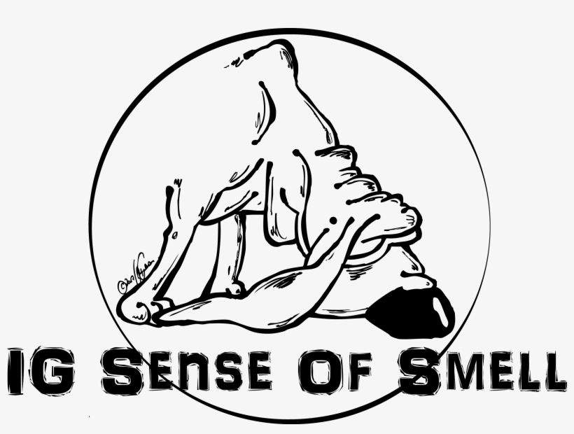 Ig Sense Of Smell Logo - Belle Comme Tout, transparent png download