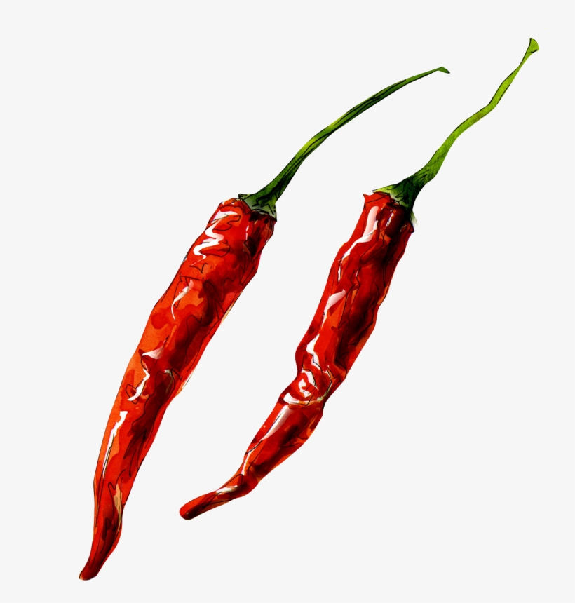 Hot Peppers - " - Watercolor Fruit Chili Pepper, transparent png download