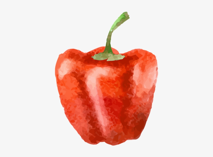 Jalapeno Pepper Red Bell Pepper PNG Image Transparent PNG Free Download on SeekPNG