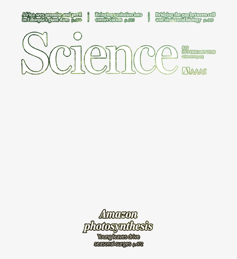 Calligraphy, transparent png download