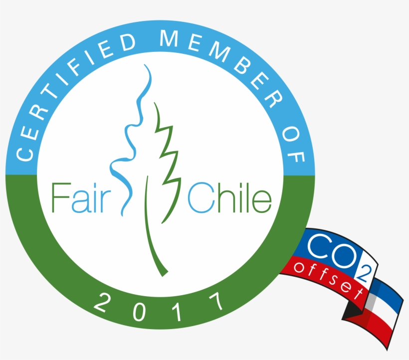 Chile Clipart Tree - Circle, transparent png download