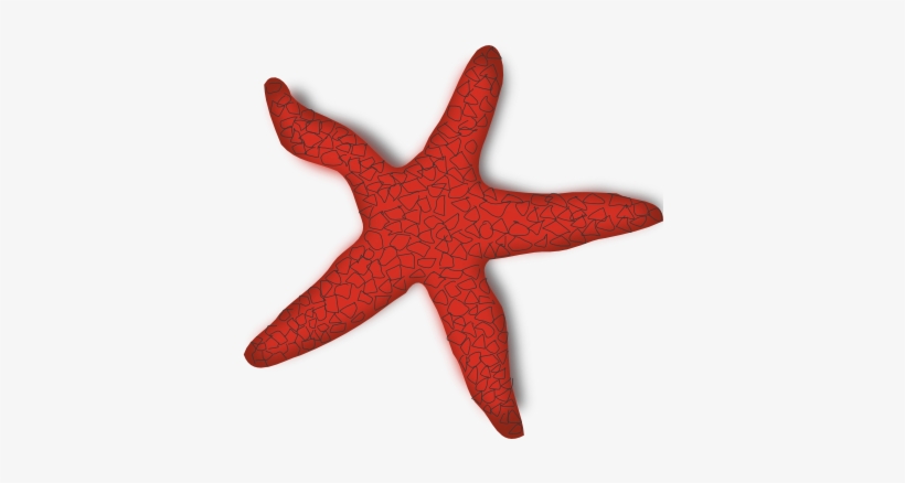 Banner Library Library Red Starfish Clip Art Free Panda - Starfish Clip Art, transparent png download