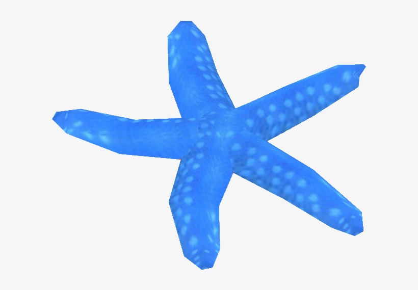 Blue Sea Star, transparent png download