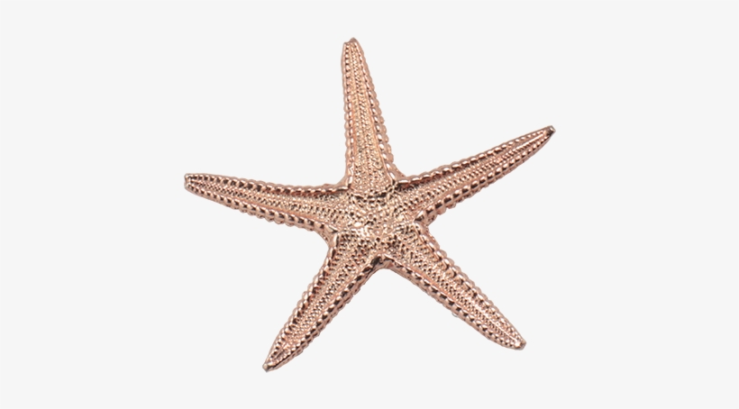 Sea Star Pendant Large - Pendant, transparent png download