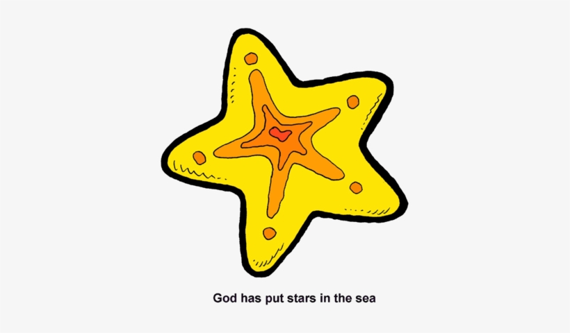 Sea Stars - Stars Fish, transparent png download