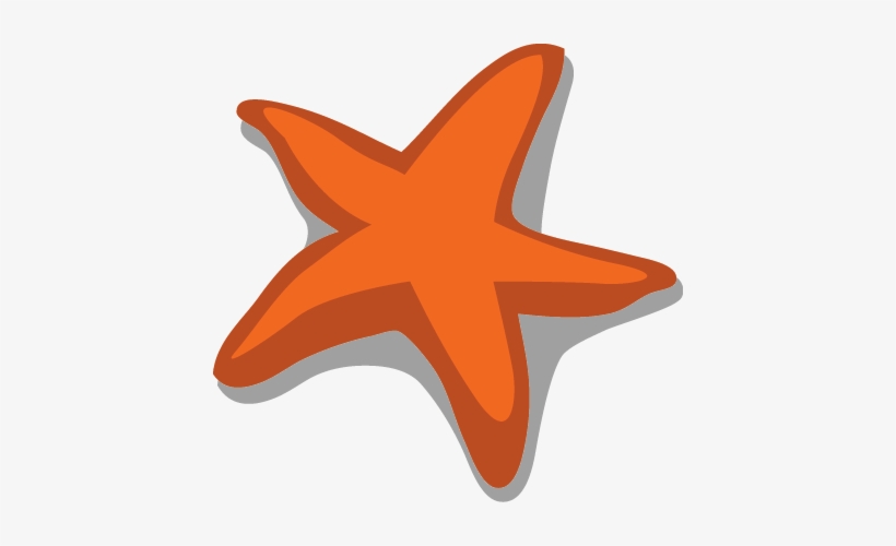 Marine Metre Squared Newsletter - Starfish, transparent png download