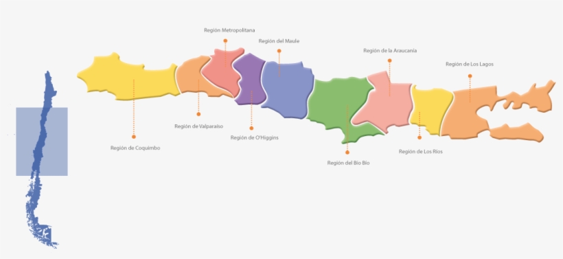 Mapa Chile Codeni Birdman2 - Map, transparent png download