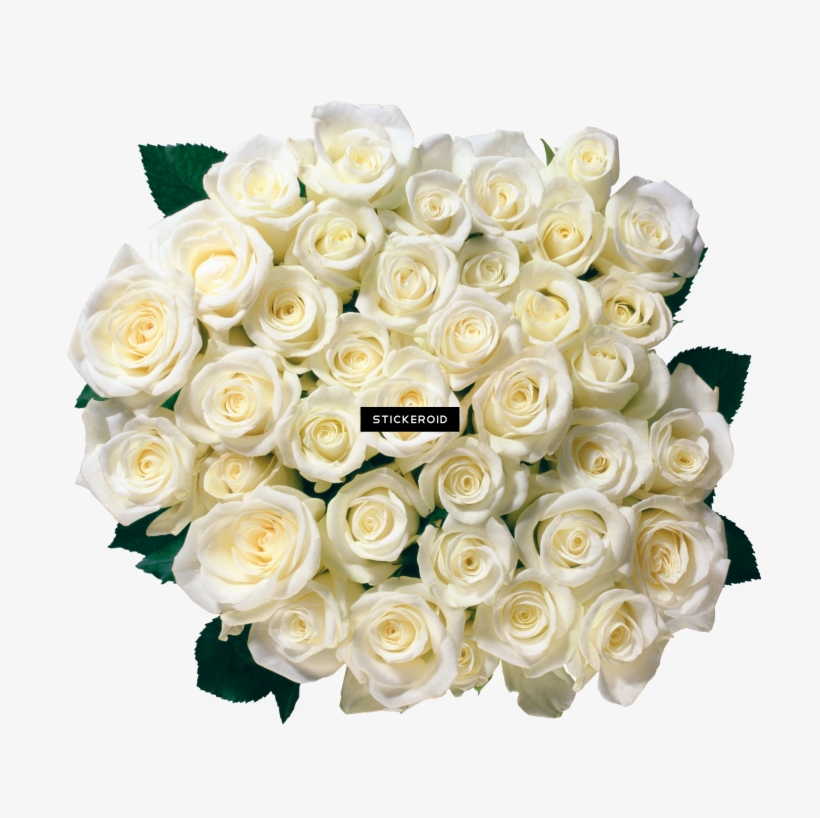 White Rose Flower White Rose Roses Bouquet 35 White Rose Png Image Transparent Png Free Download On Seekpng