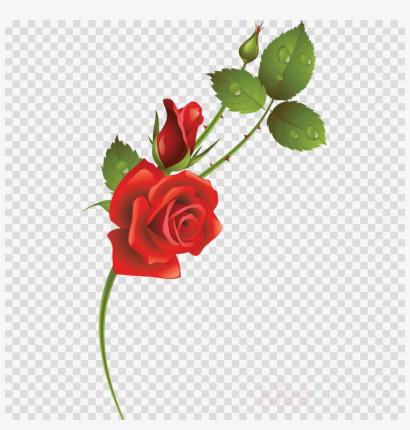 Flower Clipart Garden Roses Floral Design - Flower, transparent png download