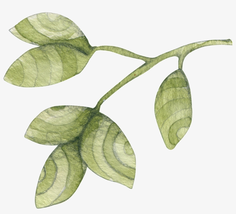 Texture Dead Leaf Decoration Vector - Leaf, transparent png download