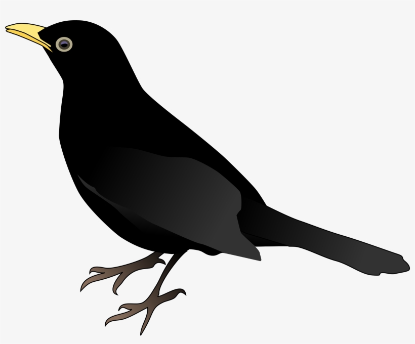 Blackbird Png Clipart Of Black Black Bird - Black Bird Clipart Png, transparent png download
