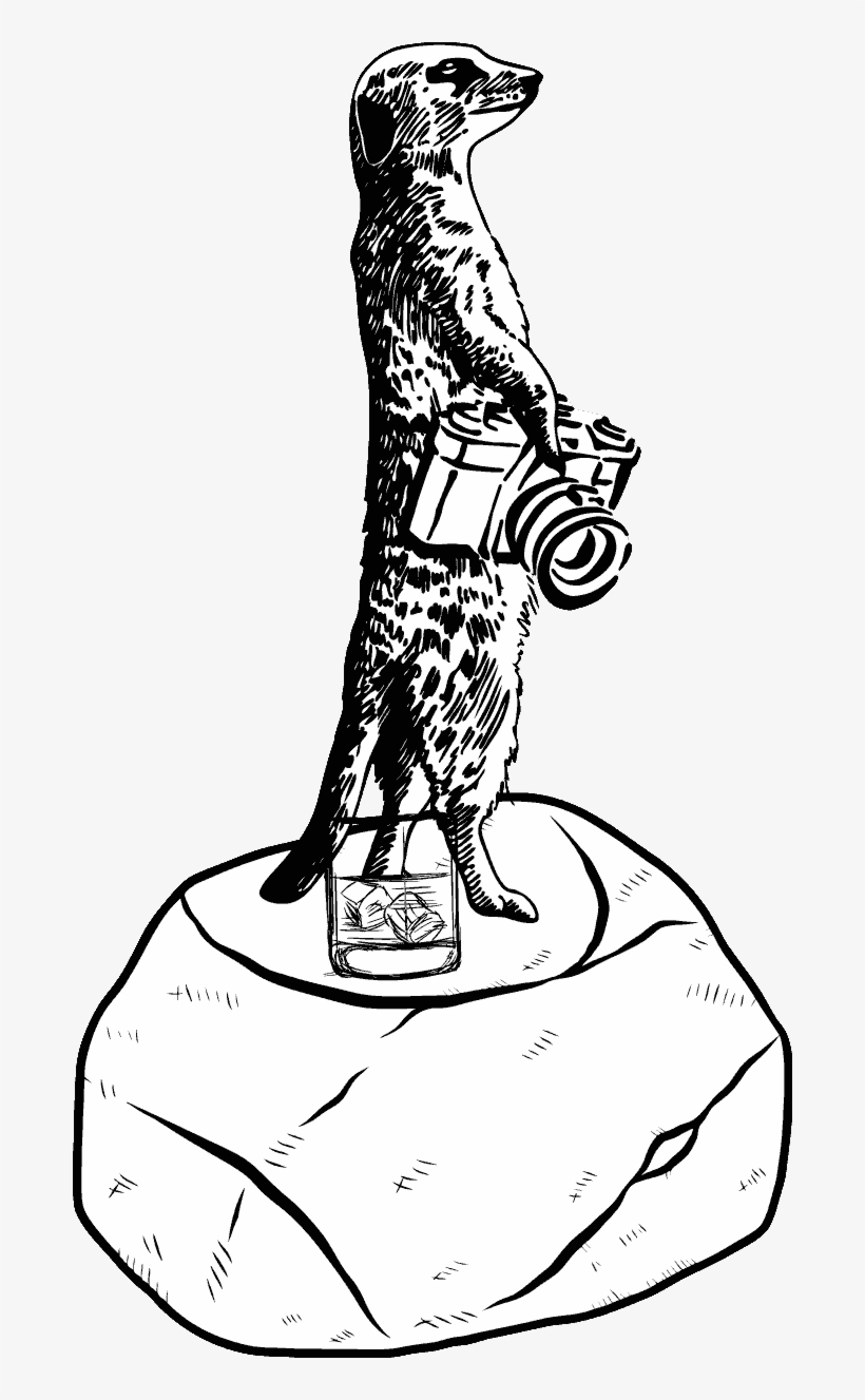 Bigwig Scene Meerkat - Meerkat, transparent png download