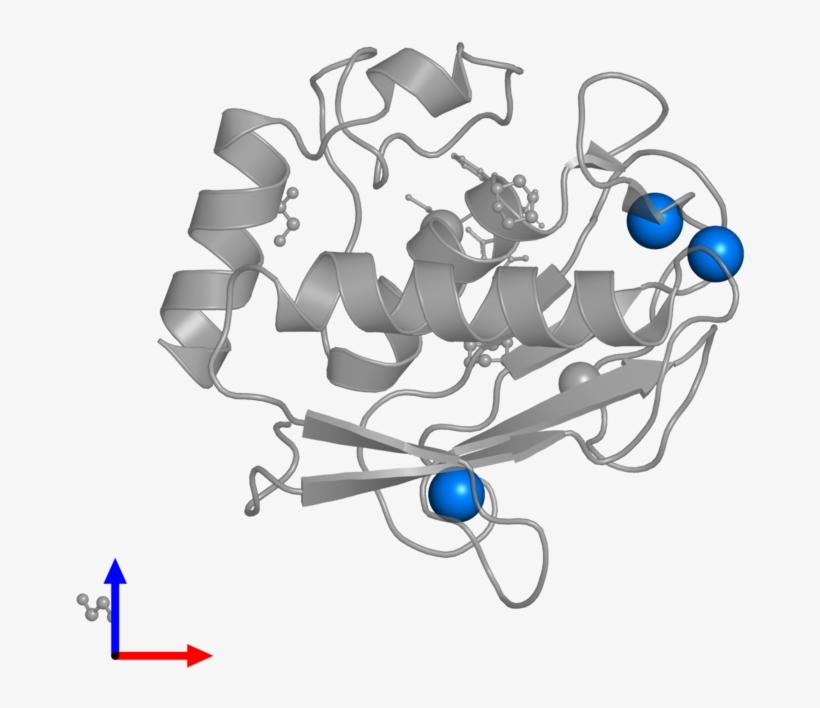 <div Class='caption-body'>pdb Entry 5i3m Contains 3 - Graphic Design, transparent png download