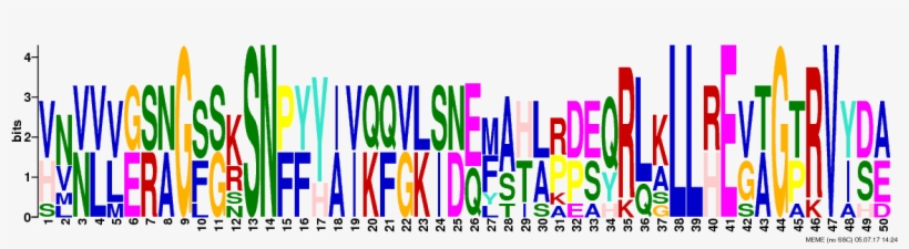 Png Logos Require Convert From Imagemagick - Graphic Design, transparent png download