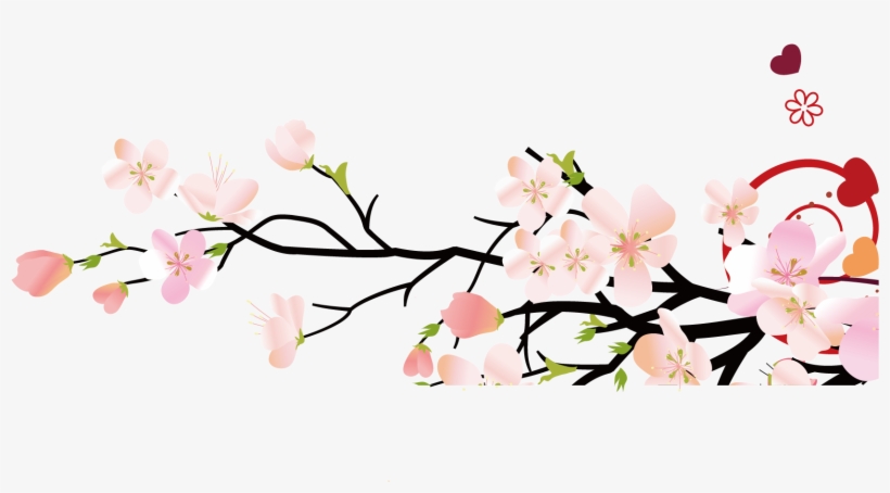 Cherry Blossom, transparent png download