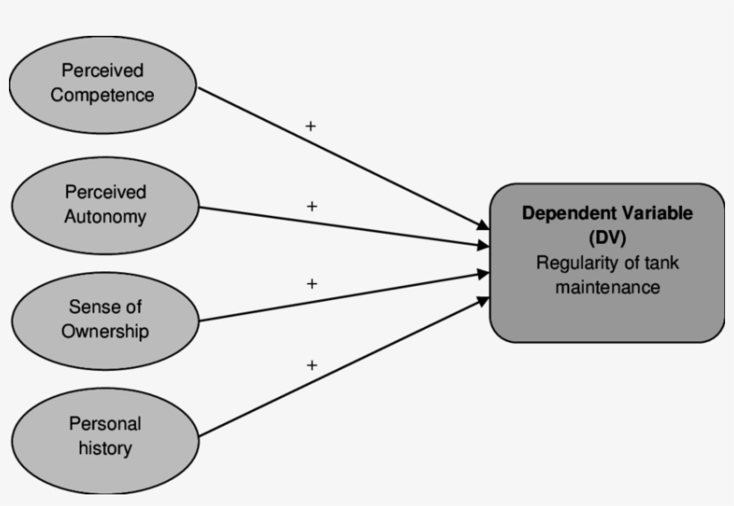 Hypotheses Utilising Regularity Of Tank Maintenance - Diagram, transparent png download