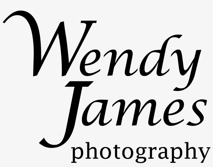 Wendy James Photography Wendy James Photography - Inter Friends, transparent png download