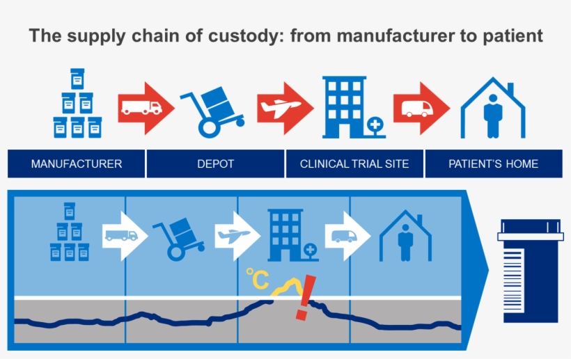 The Cold Supply Chain Of Custody - Cold Supply Chain, transparent png download