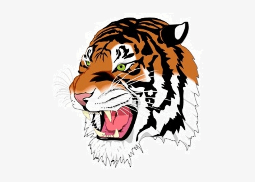 03 127k Tiger 15 May 2018 - Tigers Png, transparent png download