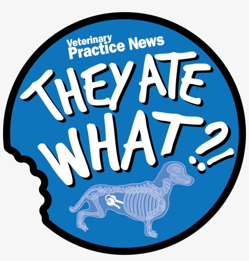 Behind The X-ray - News, transparent png download