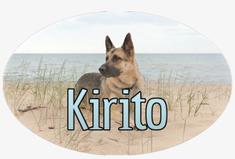 German Shepherd At The Beach By Elvaniel-d560zfp - Animal Jam Clans, transparent png download