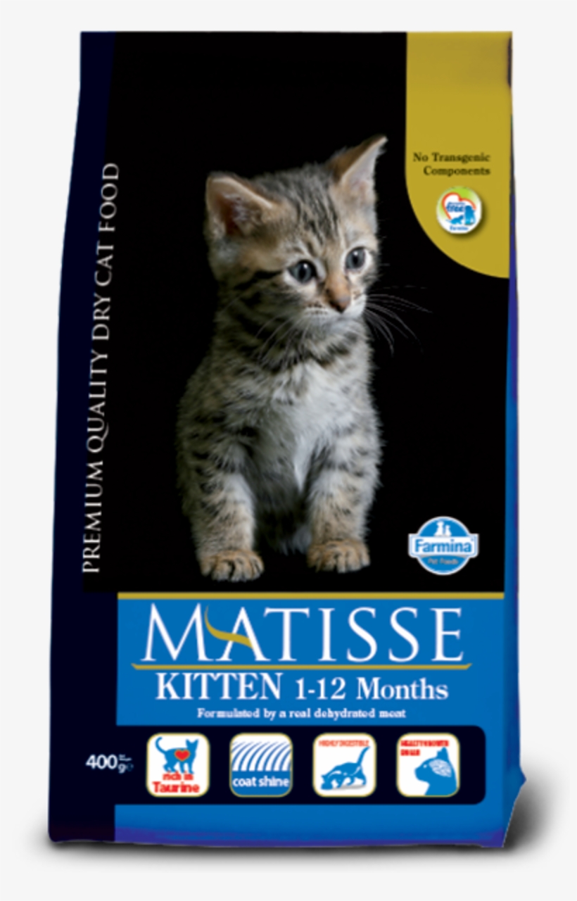 Kitten - Matisse Kitten, transparent png download