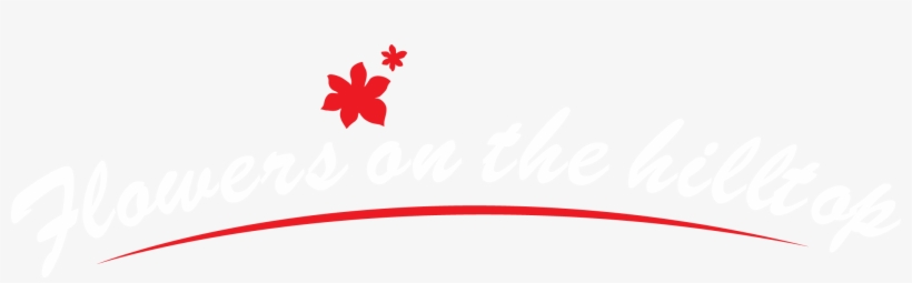 Flowers - Hungry The Homeless The Forgotten, transparent png download