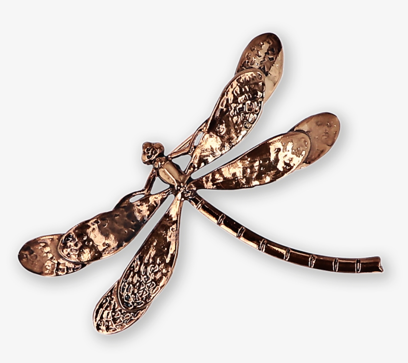 Dragonfly Gold-plated Brooch Ss19 Collection, Pal Zileri - Gold, transparent png download