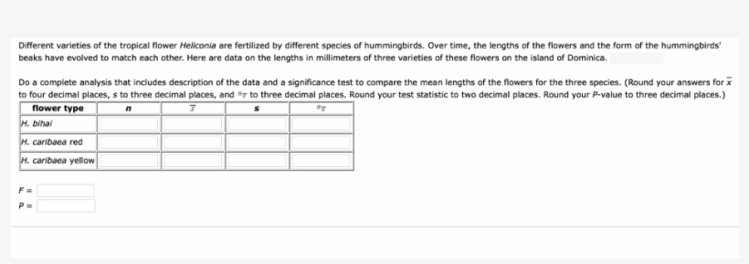 Different Varieties Of The Tropical Flower Heliconia, transparent png download