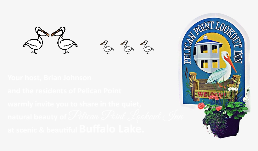 Come Discover Pelican Point Inn - Pelican Point Inn, transparent png download