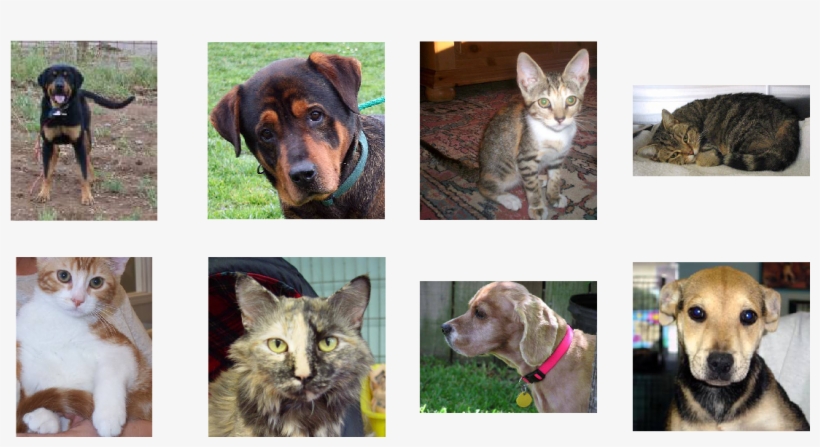 As You Can See, We Have A Variety Of Images - Tensorflow, transparent png download