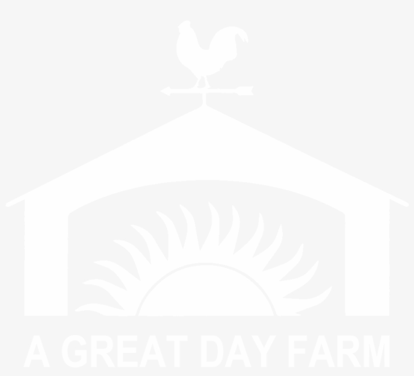 A Great Day Farm Was Created To Provide No-fee Recreation - Rooster, transparent png download