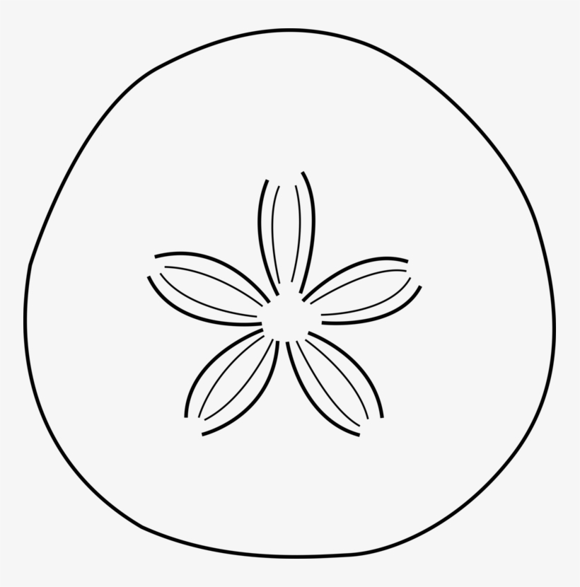 Coloring Book Child Drawing Sand Dollar - Black And White Sand Dollar, transparent png download