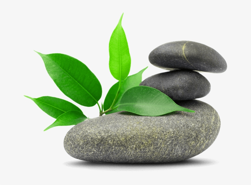 Stone And Flower Png, transparent png download